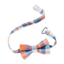Striped bow tie